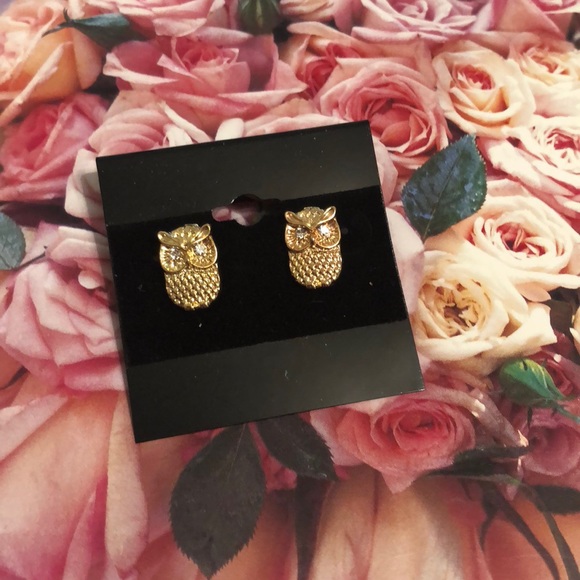 Jewelry - ❗️New❗️gold owl earrings